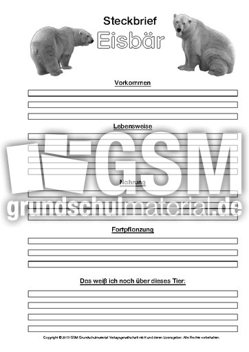 Eisbär-Steckbriefvorlage-sw-4.pdf
